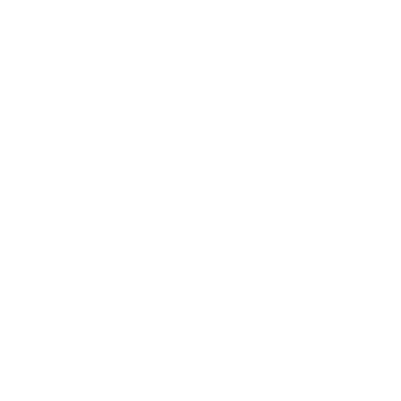 Certificate icon